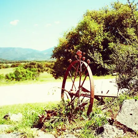 Farm stay Agriturismo Pedru Caddu *