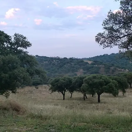 Farm stay Agriturismo Pedru Caddu *