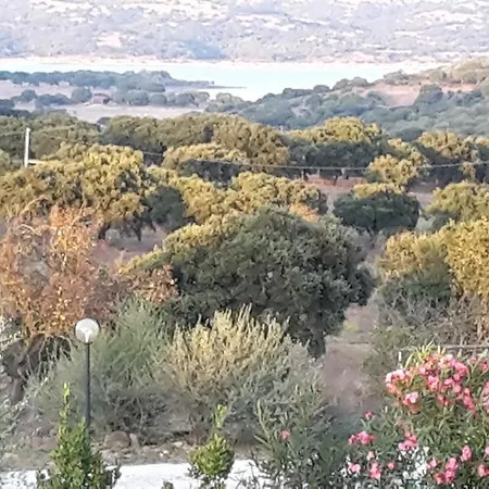 Agriturismo Pedru Caddu Farm stay