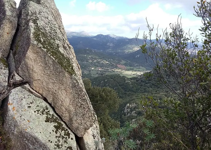 Pedru Caddu 팜스테이 Tula